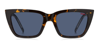 Hugo HG 1249/S women Havana Butterfly Sunglasses