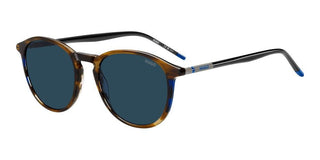 Hugo Hg 1346/s Men Brown Pantos Sunglasses