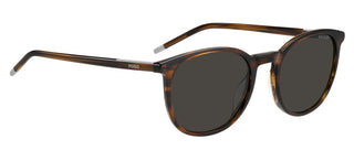 Hugo Hg 1400/g/s Men Brown Pantos Sunglasses