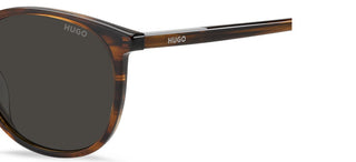 Hugo Hg 1400/g/s Men Brown Pantos Sunglasses