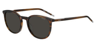 Hugo Hg 1400/g/s Men Brown Pantos Sunglasses
