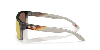 Oakley Lifestyle Holbrook Oo 9102 Men Brown Geometric Sunglasses
