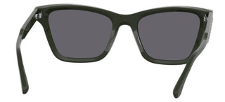 Isabel Marant Im 0255/s Women Green Cat Eye Sunglasses