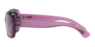 Ray-Ban Jackie Ohh JACKIE OHH RB 4101 women Violet Butterfly Sunglasses