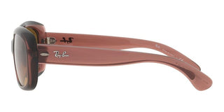 Ray-Ban Jackie Ohh JACKIE OHH RB 4101 women Brown Butterfly Sunglasses