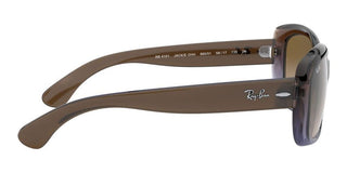 Ray-Ban Jackie Ohh JACKIE OHH RB 4101 women Brown Butterfly Sunglasses