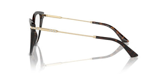 Jimmy Choo Jc 3001b Women Havana Cat Eye Eyeglasses