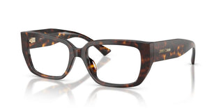 Jimmy Choo JC 3041BU women Havana Rectangle Eyeglasses