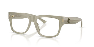 Jimmy Choo JC 3049U women Green Rectangle Eyeglasses