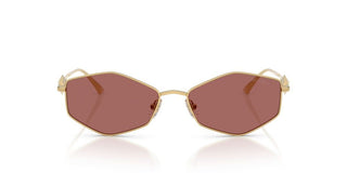 Jimmy Choo Jc 4017 Women Gold Geometric Sunglasses