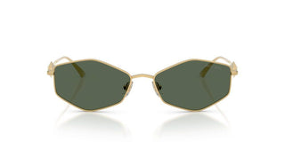 Jimmy Choo Jc 4017 Women Gold Geometric Sunglasses