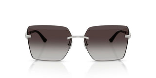 Jimmy Choo Jc 4018 Women Silver Butterfly Sunglasses