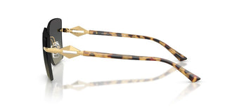 Jimmy Choo Jc 4018 Women Gold Butterfly Sunglasses