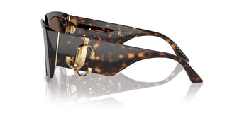 Jimmy Choo Jc 5006u Women Havana Butterfly Sunglasses