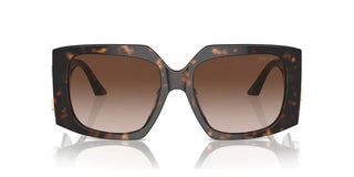 Jimmy Choo JC 5006U women Havana Butterfly Sunglasses