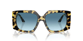 Jimmy Choo Jc 5006u Women Havana Butterfly Sunglasses