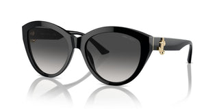 Jimmy Choo Jc 5007 Women Black Pantos Sunglasses