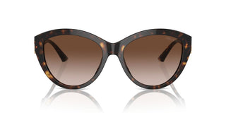 Jimmy Choo Jc 5007 Women Havana Pantos Sunglasses