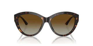 Jimmy Choo JC 5007 women Havana Pantos Sunglasses