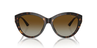 Jimmy Choo Jc 5007 Women Havana Pantos Sunglasses