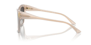 Jimmy Choo Jc 5012 Women Brown Butterfly Sunglasses