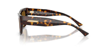 Jimmy Choo Jc 5035b Women Havana Cat Eye Sunglasses