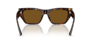 Jimmy Choo Jc 5035b Women Havana Cat Eye Sunglasses