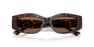 Jimmy Choo JC 5046BU women Havana Cat Eye Sunglasses