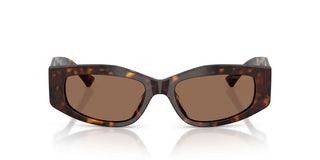 Jimmy Choo JC 5046BU women Havana Cat Eye Sunglasses