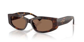 Jimmy Choo JC 5046BU women Havana Cat Eye Sunglasses