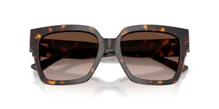 Jimmy Choo JC 5047B women Havana Butterfly Sunglasses