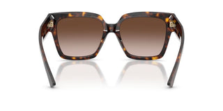 Jimmy Choo JC 5047B women Havana Butterfly Sunglasses