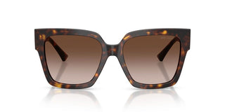 Jimmy Choo JC 5047B women Havana Butterfly Sunglasses