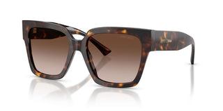 Jimmy Choo JC 5047B women Havana Butterfly Sunglasses