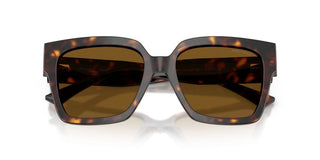 Jimmy Choo JC 5047B women Havana Butterfly Sunglasses