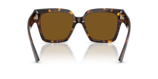 Jimmy Choo JC 5047B women Havana Butterfly Sunglasses