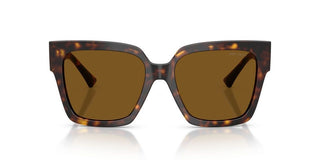 Jimmy Choo JC 5047B women Havana Butterfly Sunglasses