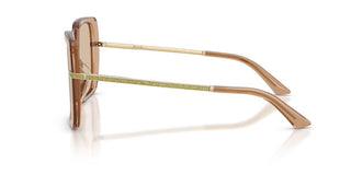 Jimmy Choo JC 5048JU women Brown Butterfly Sunglasses