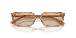 Jimmy Choo JC 5050U women Brown Sunglasses