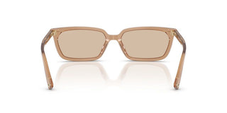 Jimmy Choo JC 5050U women Brown Sunglasses