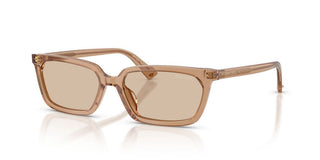 Jimmy Choo JC 5050U women Brown Sunglasses