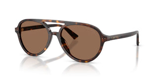 Jimmy Choo JC 5055U women Havana Pilot Sunglasses