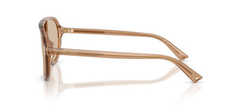 Jimmy Choo JC 5055U women Brown Pilot Sunglasses