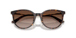 Jimmy Choo JC 5056JD women Havana Sunglasses