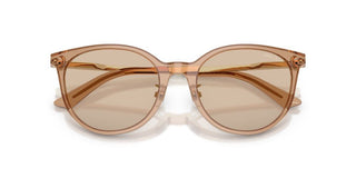 Jimmy Choo JC 5056JD women Brown Sunglasses