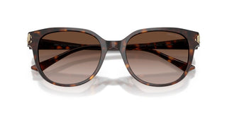 Jimmy Choo JC 5057D women Havana Butterfly Sunglasses