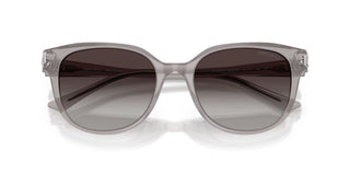 Jimmy Choo JC 5057D women Grey Butterfly Sunglasses