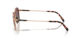 Ray-Ban JIM TITANIUM RB 8094 unisex Brown Geometric Sunglasses