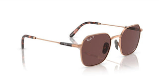 Ray-Ban JIM TITANIUM RB 8094 unisex Brown Geometric Sunglasses