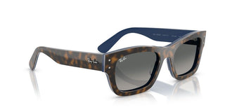 Ray-Ban JOSEPH RB 7683S unisex Havana Squared Sunglasses